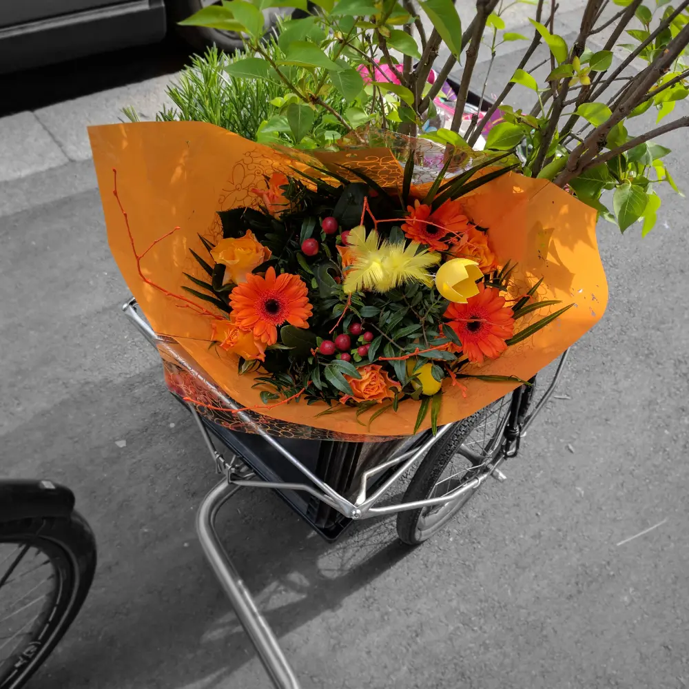 BOX 0.1 mit RAKO Behälter an einem Stöckli E-Bike.
